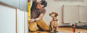 A man places a level on a cabinet while his dog watches.